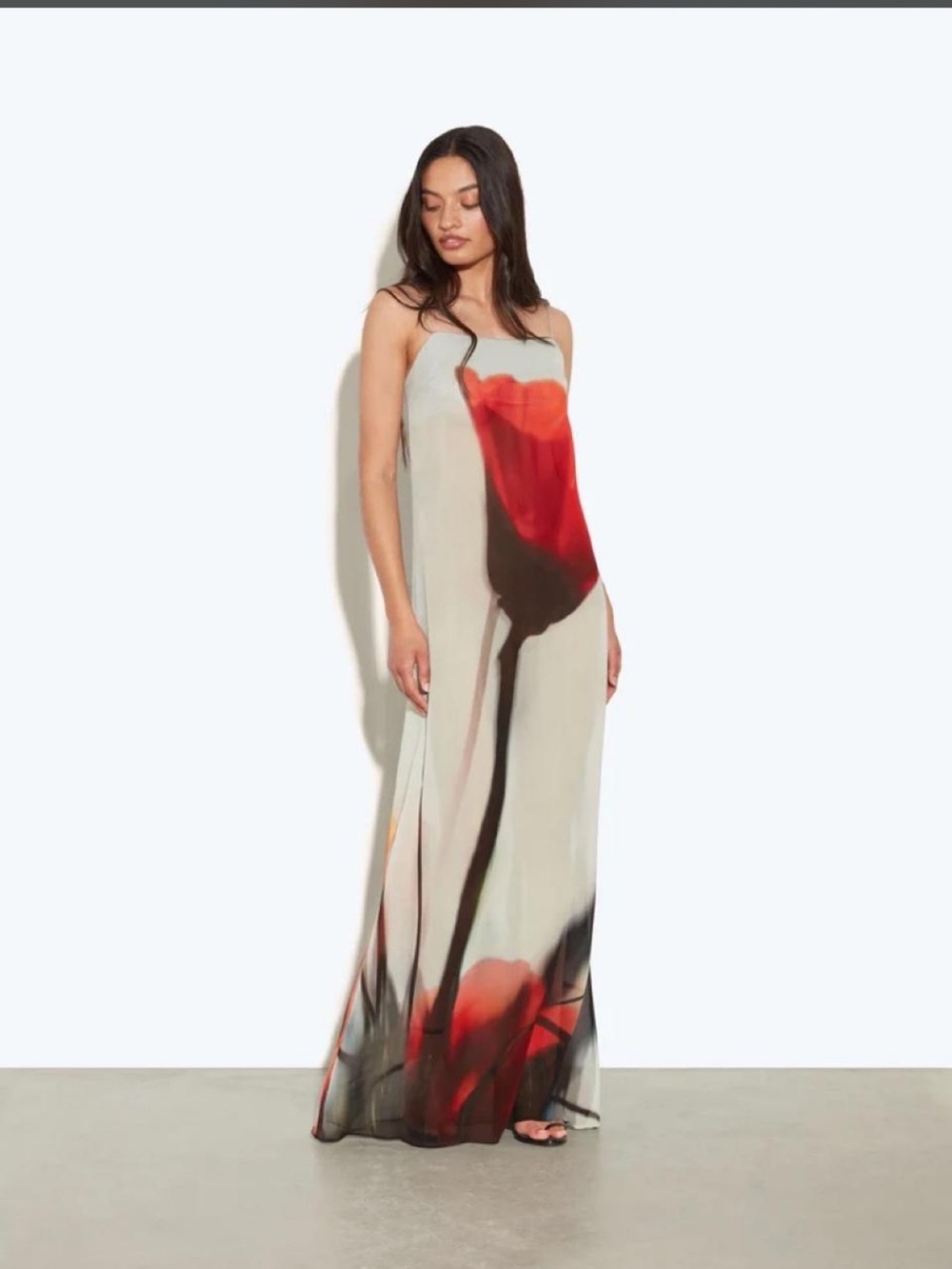 Rat & Boa Luciana Dress BNWT